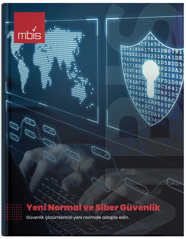 yeni normal ve siber güvenlik